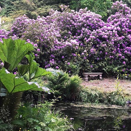 Rapunzel Trifft Dornroeschen Villa Rosenthal-Bielatal Luaran gambar