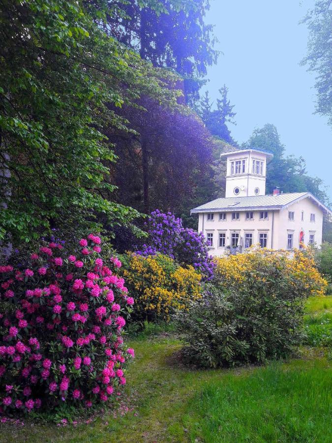 Rapunzel Trifft Dornroeschen Villa Rosenthal-Bielatal Luaran gambar