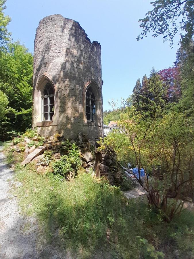 Rapunzel Trifft Dornroeschen Villa Rosenthal-Bielatal Luaran gambar