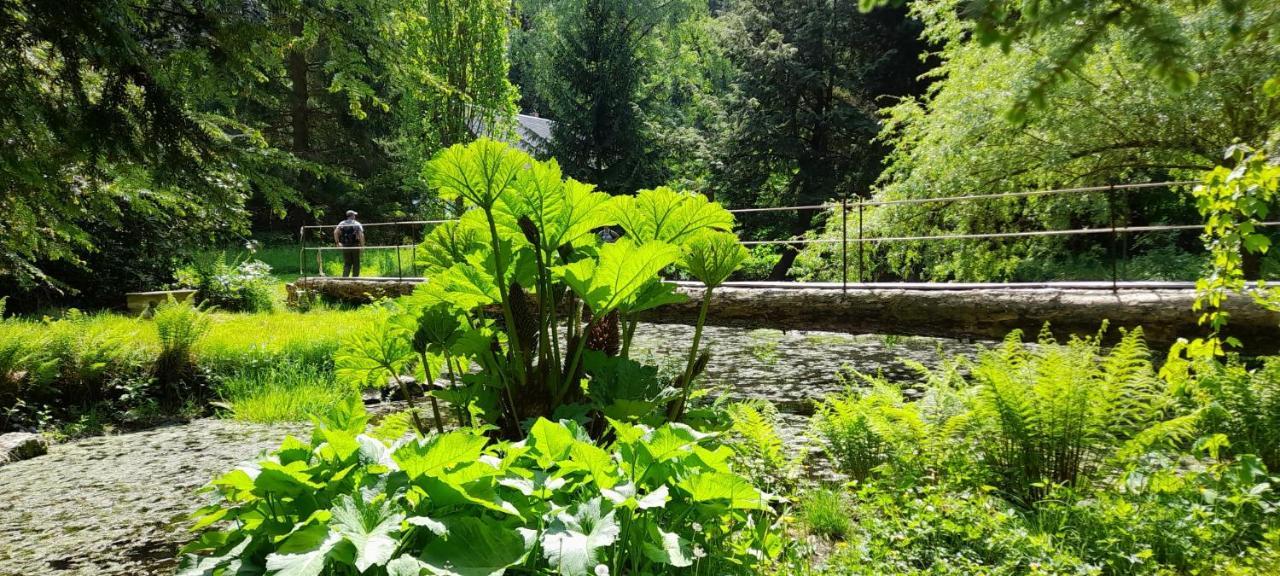 Rapunzel Trifft Dornroeschen Villa Rosenthal-Bielatal Luaran gambar