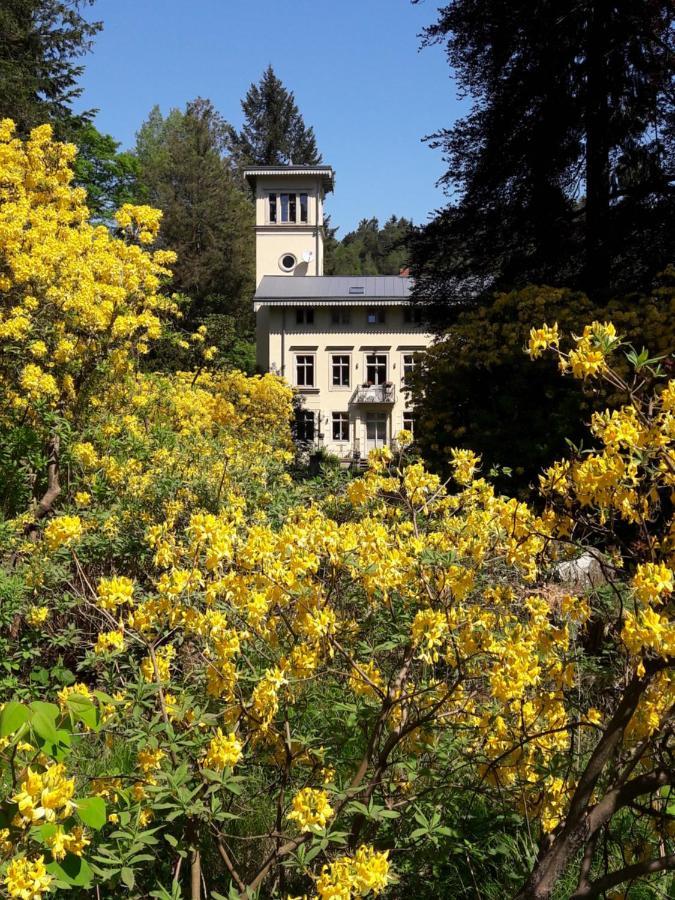 Rapunzel Trifft Dornroeschen Villa Rosenthal-Bielatal Luaran gambar